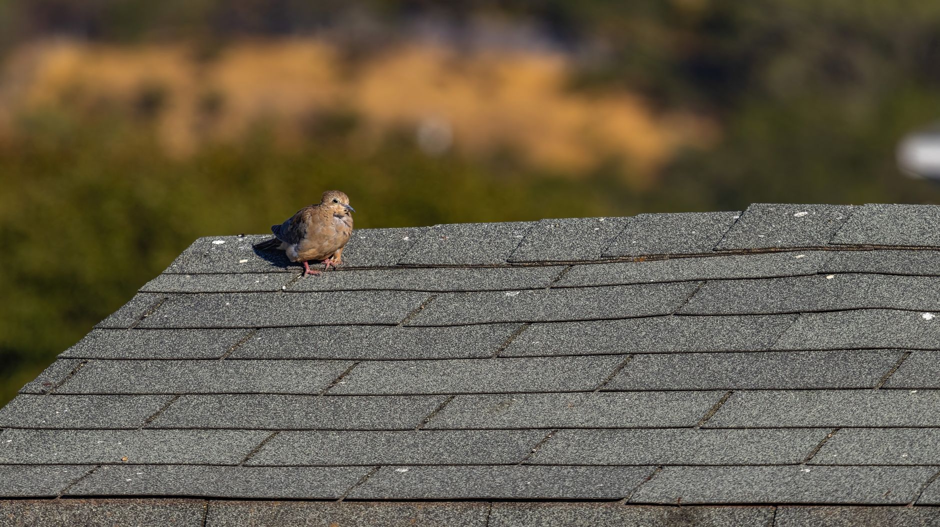 Roofing service in Kentucky