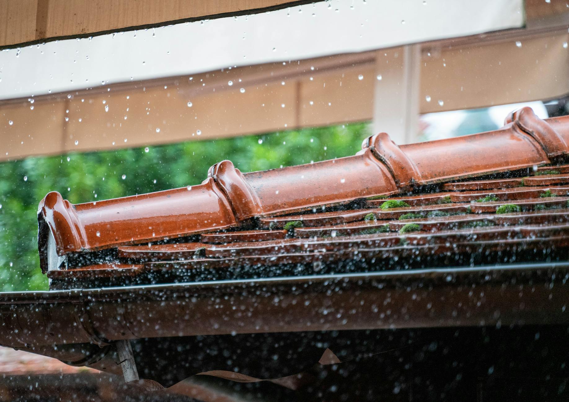 Flat roof in Ripley, TN