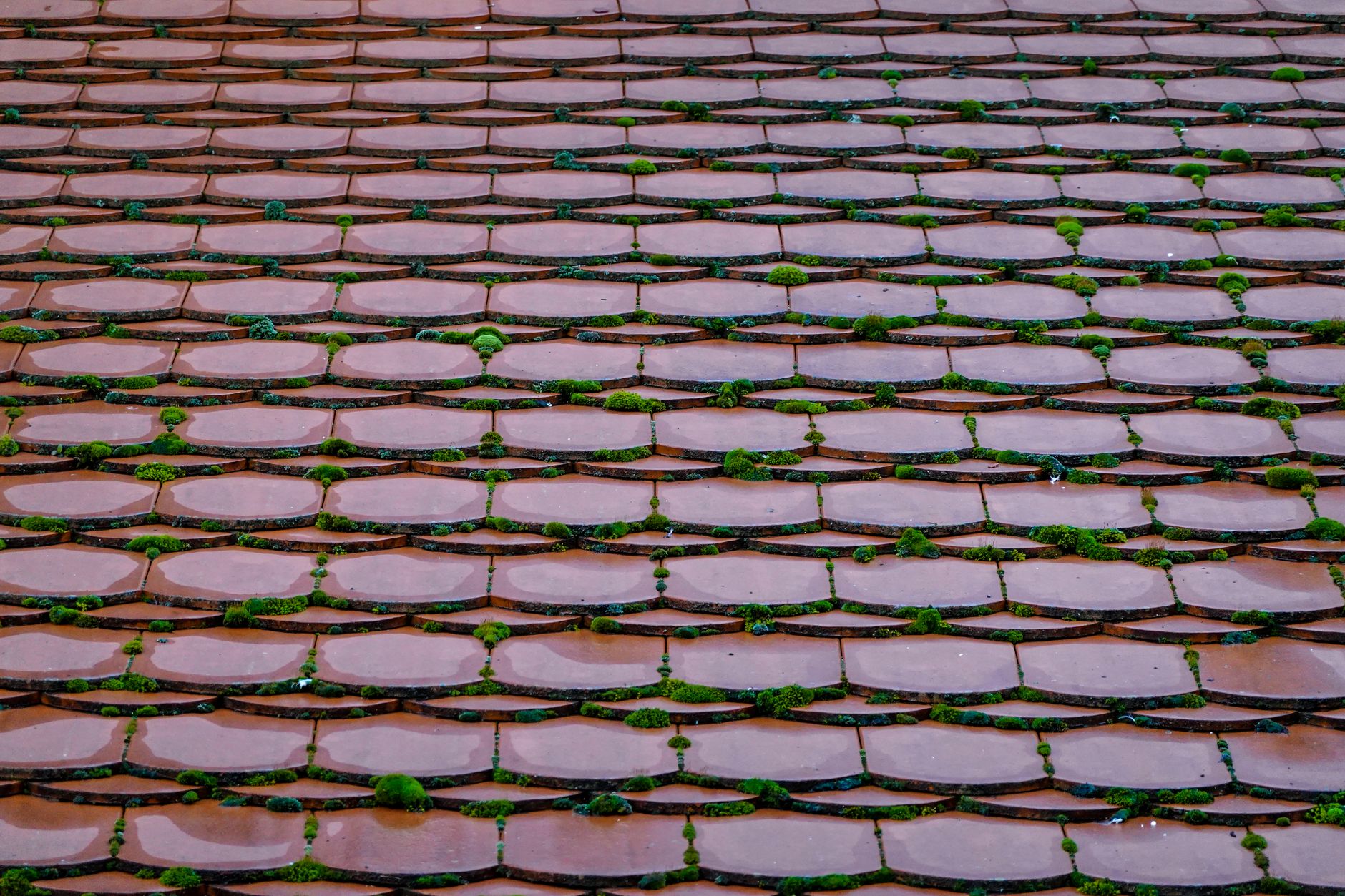 Roofing service in Granite City, IL