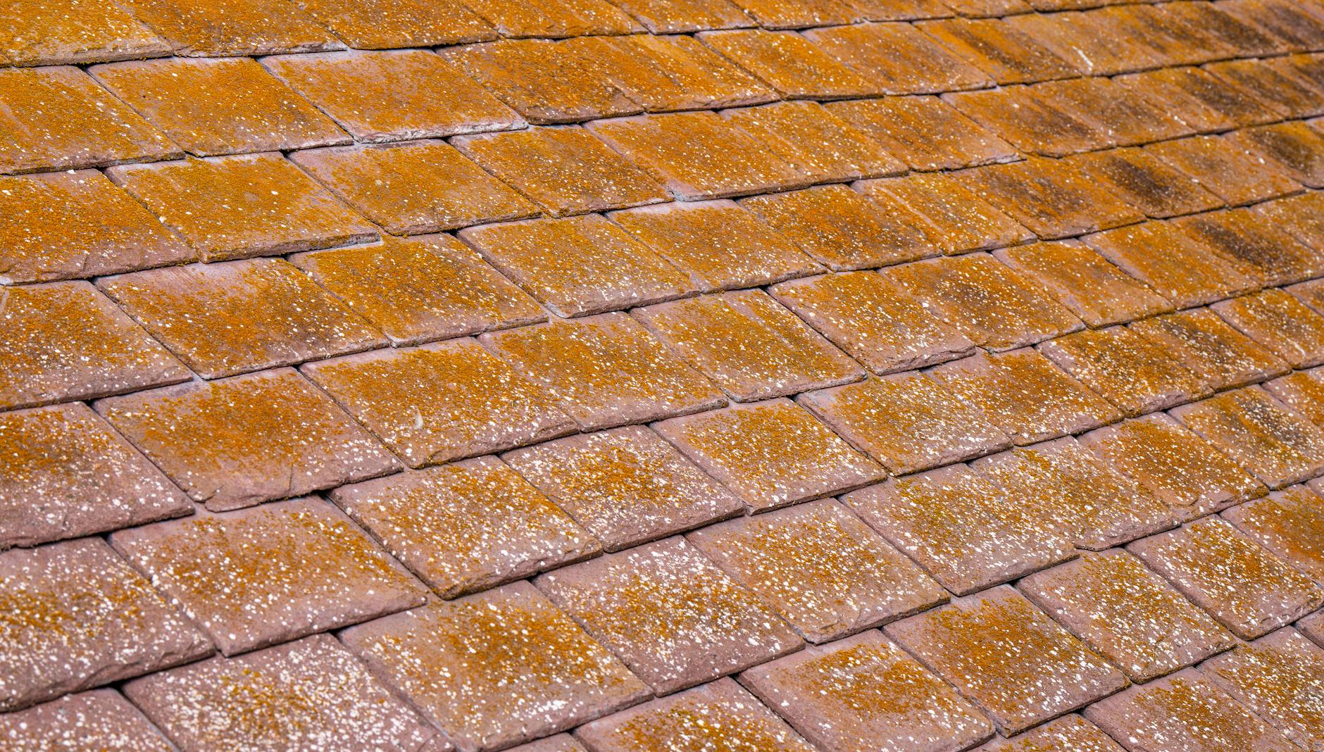 Roofing service in Iowa
