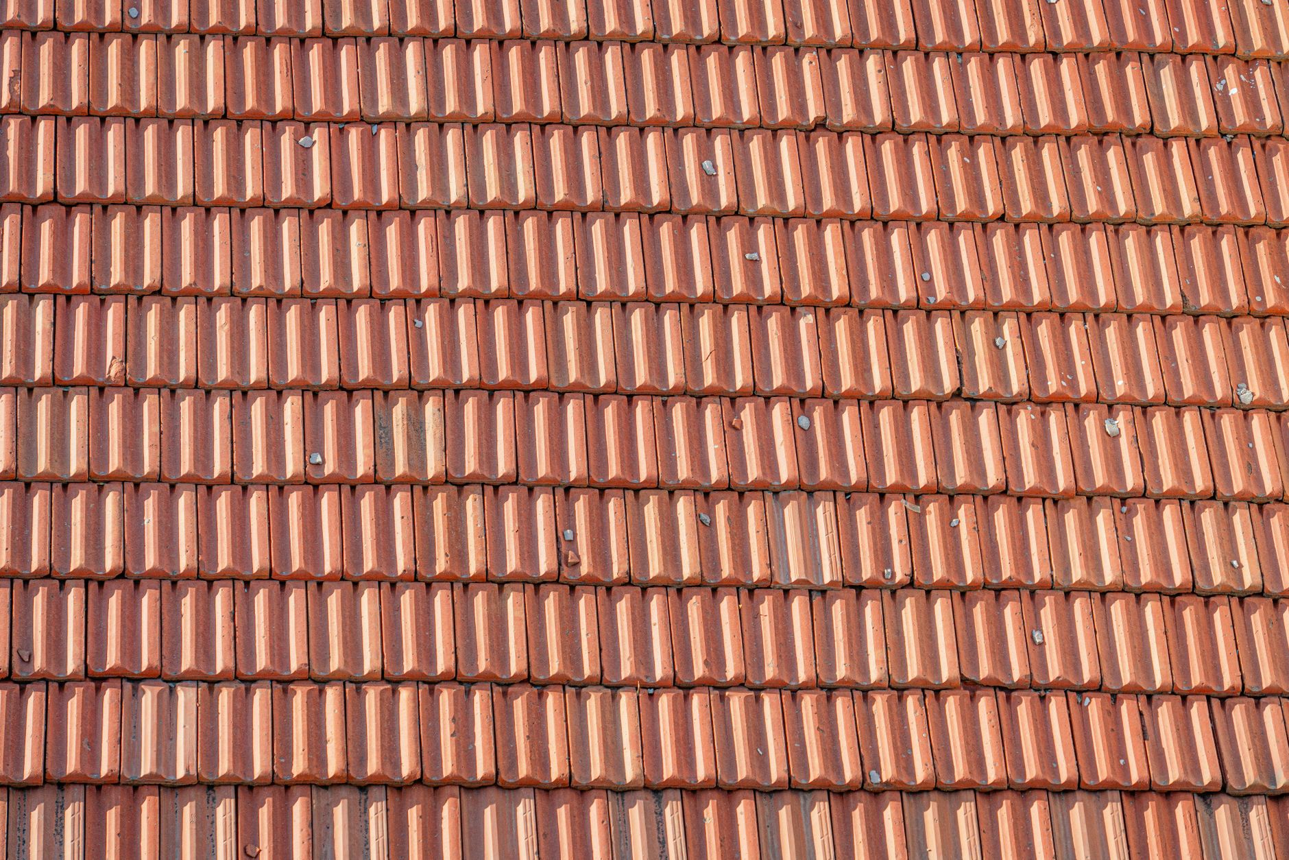 Roofing service in Riverside, CA