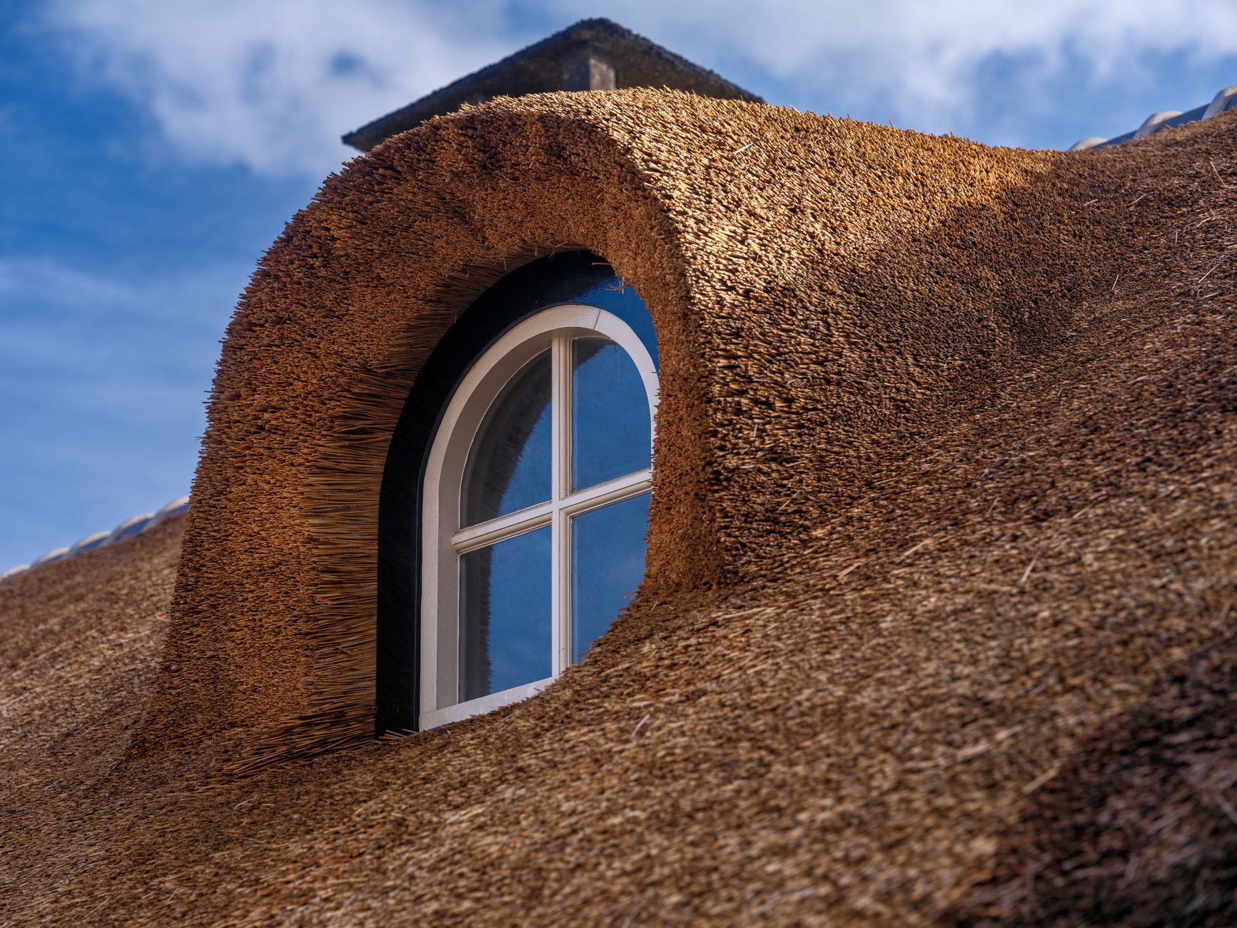 Roofing service in Hopkinsville, KY
