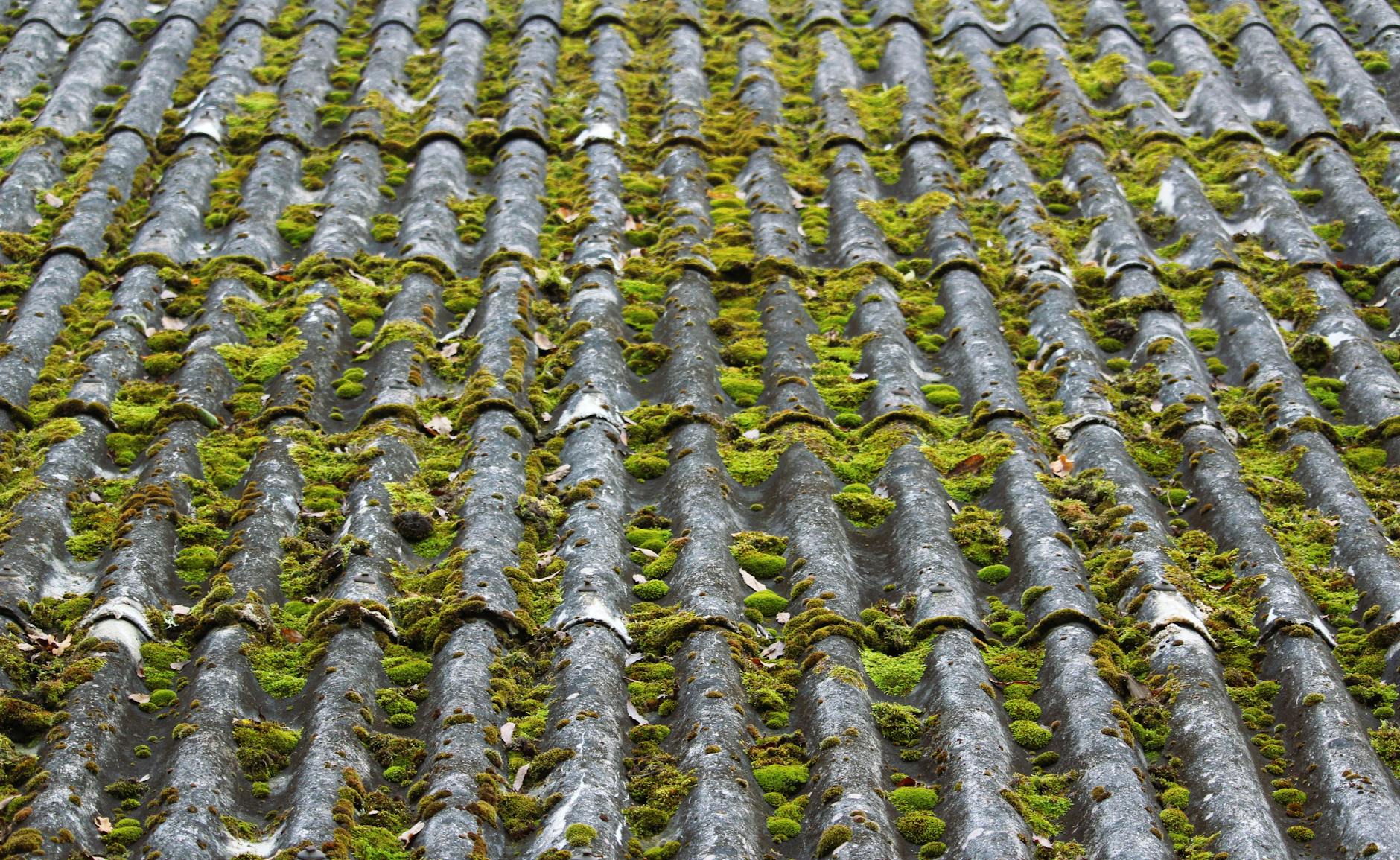 Roofing service in San Diego, CA