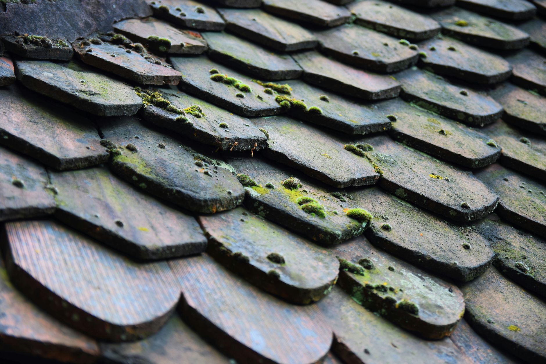 Metal roofing in Durango, CO